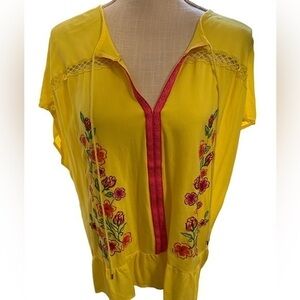 Pioneer Woman top size XXL
